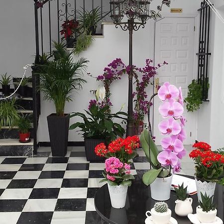 Hospederia Rural Las Buganvillas เอลโรซิโอ ภายนอก รูปภาพ